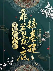 《穿进古代末世,靠着家底搞基建》