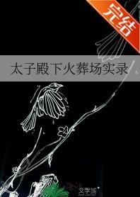 《太子殿下火葬场实录》