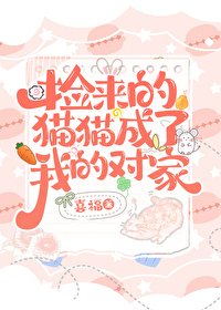 《捡来的猫猫成了我的对家》
