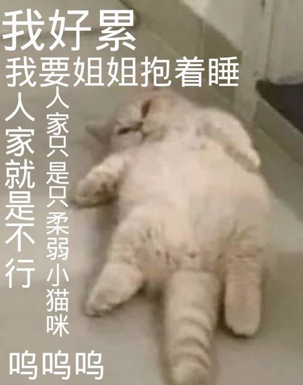 《霸到富婆矮上我》