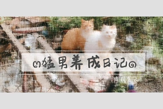 《猛男养成日记》