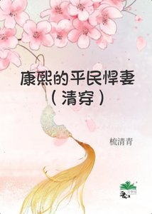 《(历史同人)康熙的平民悍妻(清穿)》