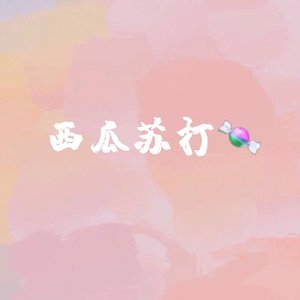 《西瓜苏打糖》