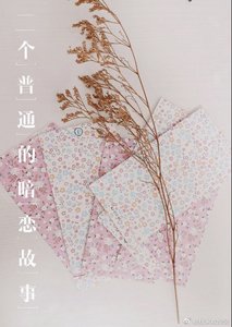 《一个普通的暗恋故事》