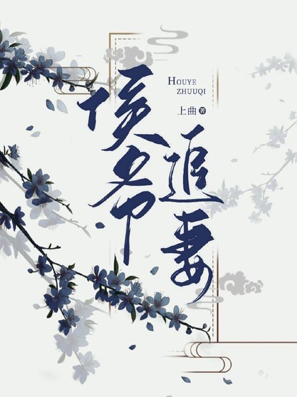 《侯爷追妻(不V)》