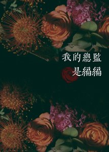 我的总监是编编