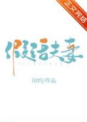《假话夫妻》