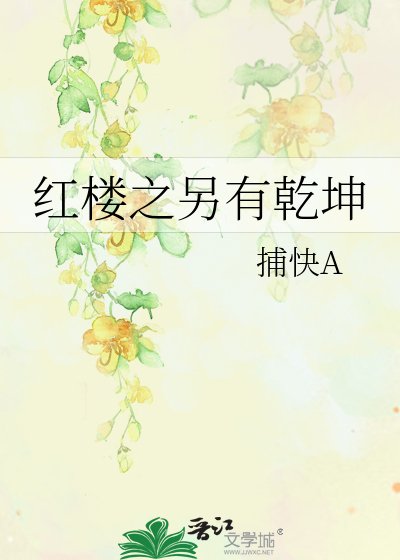 《红楼之另有乾坤》
