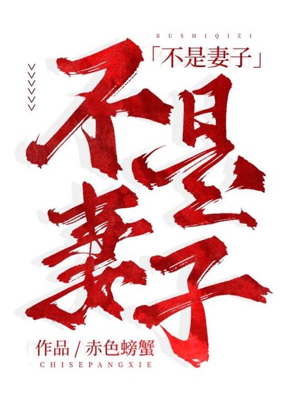 不是妻子