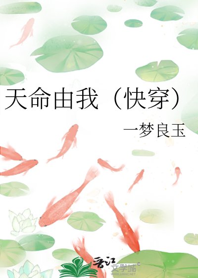 《天命由我(侩穿)》