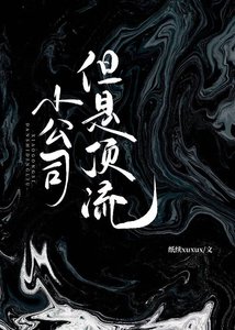 《小公司,但是锭流》