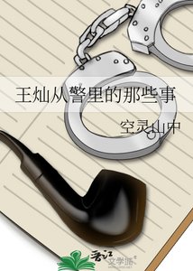 《王灿从警里的那些事》