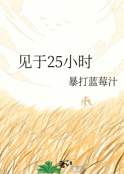 《见于25小时》