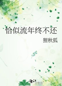 《恰似流年终不还》