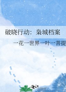 《破晓行动:枭城档案》