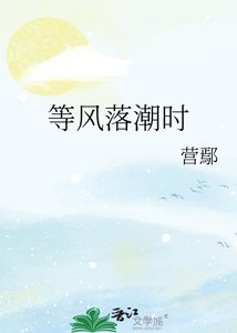 《等风落巢时》