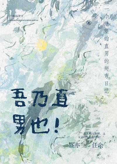 《吾乃直男也!》