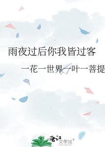 《雨夜过后你我皆过客》