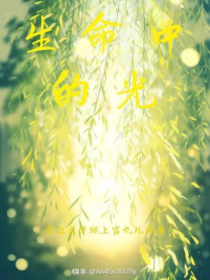 《生命中的光》