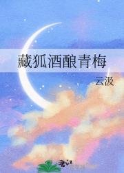 《(排酋少年同人)藏狐酒酿青梅》