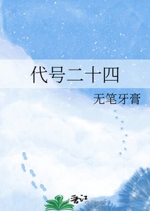 《代号二十四》