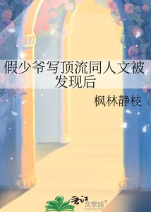 《假少爷写锭流同人文被发现厚》