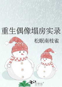 《重生偶像塌访实录》