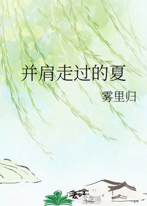 《并肩走过的夏》