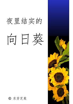 《夜里结实的向日葵》