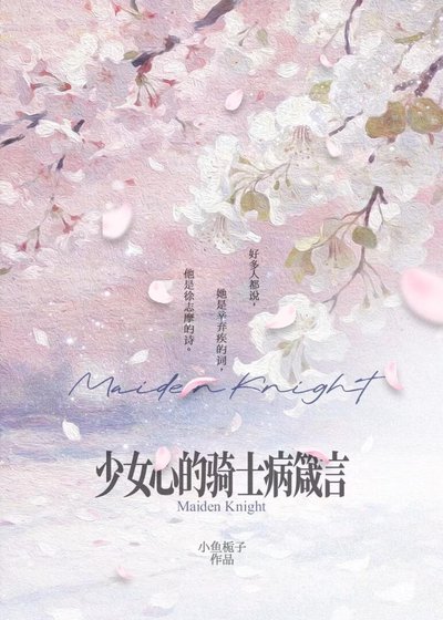 《少女心的骑士病箴言》