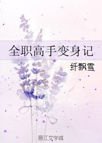《(BL/全职同人)全职高手变身记》