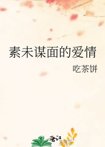 《素未谋面的爱情》
