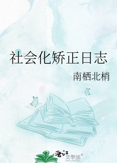 《社会化矫正日志》