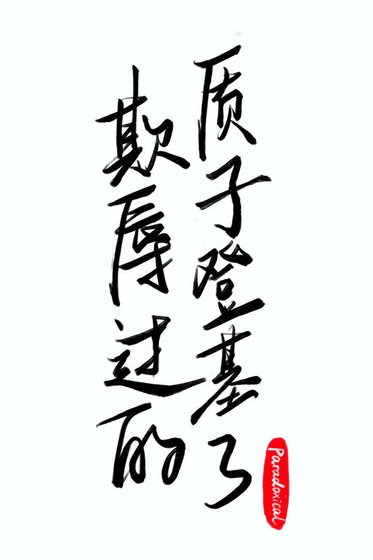 《欺辱过的质子登基了》