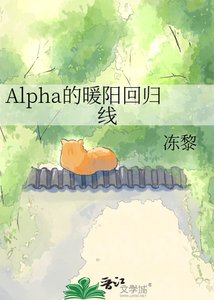 《Alpha的暖阳回归线》
