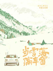 《当雪落满车窗》