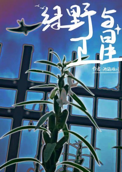 《绿野与卫星(GB)》