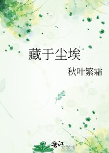 《藏于尘埃》