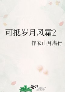 《可抵岁月风霜2》