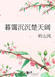 《暮霭沉沉楚天阔》