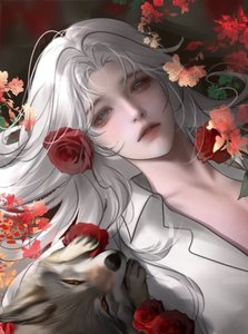 《强行标下顶级Alpha》