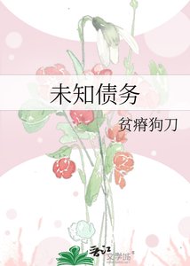 《未知债务》