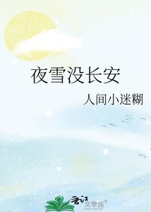《夜雪没长安》