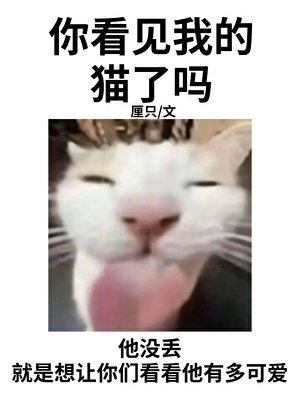你看见我的猫了吗