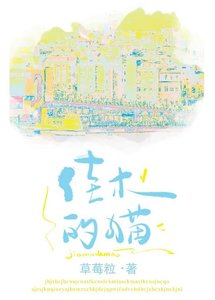 《佳木的猫》