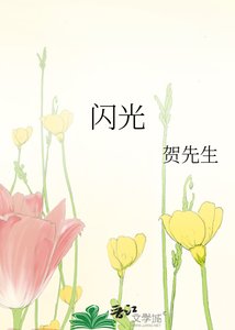 《闪光》