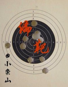 《偏靶》