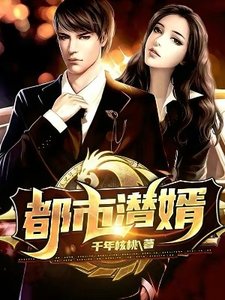 《都市潜婿》