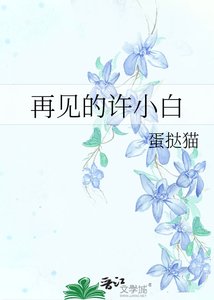 《再见的许小白》
