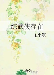 《综武侠存在》